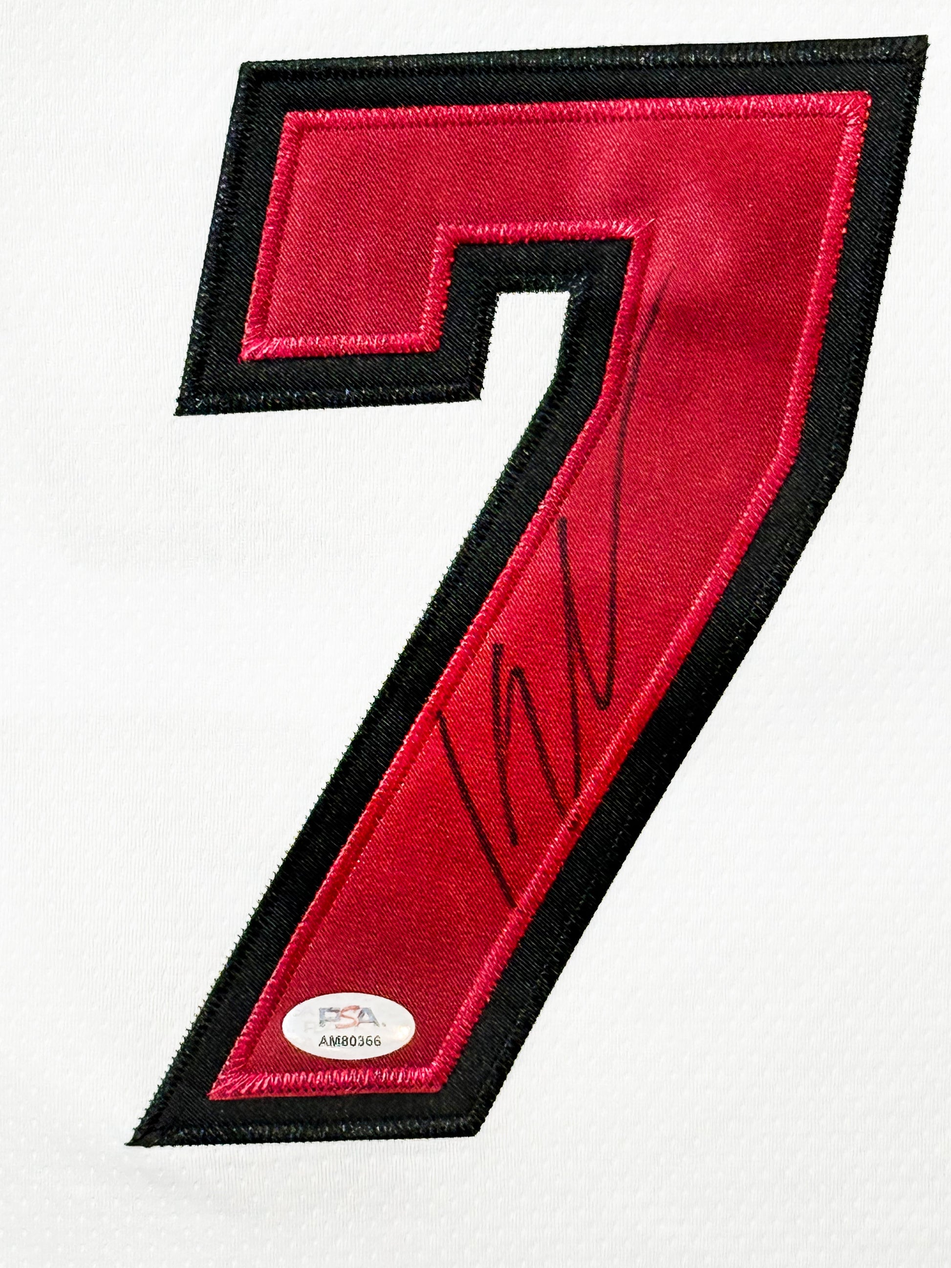 Maillot Authentique Miami Heat signé par Kyle Lowry et certifié par JSA authentic-signatures